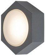 Aplica perete LED de exterior IP54 Avola 7964 RX
