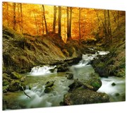 Tablou - Pădure (70x50 cm)