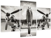 Tablou - Warbird (90x60 cm)