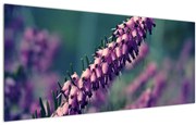 Tablou cu floare violetă (120x50 cm), în 40 de alte dimensiuni noi