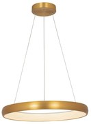 Lustra LED design modern circular Ring 60cm, Brushed Gold Matt
