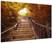 Tablou - Scări în natură în toamnă (90x60 cm)