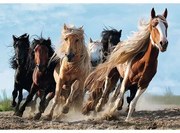 Puzzle Trefl Cai n galop, 1000 piese