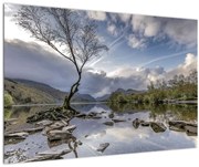 Tablou cu râu și copac (90x60 cm)