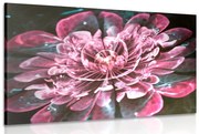 Tablou floare magică roz