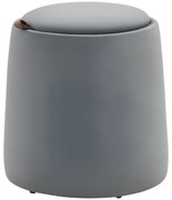 HOMCOM 2-in-1 Hocker în Samtoptik inclusiv Stocare și capac detașabil Ø44 cm x 47,5 cm Gri | Aosom Romania