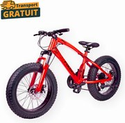 Bicicleta FatBike Fulger by Caraiman, roti 20 inch, cauciucuri groase, frane pe disc, rosie