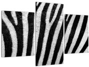 Tablou cu piele de zebră (90x60 cm)