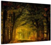 Tablou cu pădure (70x50 cm)