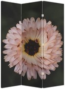 Paravan - Floare portocalie (126x170 cm)