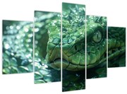 Tablou - Portret de șarpe (150x105 cm)