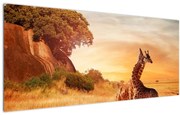 Tablou Girafe în Africa (120x50 cm)