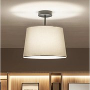 Brilagi - Lustră aplicată LED CERIA 1x E27/60W/230V, Ø 30 cm, negru/gri