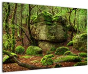 Tablou cu pădurea fermecată (90x60 cm)