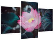 Tablou cu floare roz (90x60 cm)