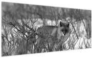 Tablou - Vulpe în timpul iernii (120x50 cm)