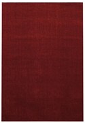 Covor burgundy 200x290 cm Ata – Ayyildiz Carpets