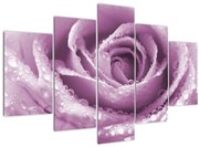 Tablou detaliu de floare de trandafir (150x105 cm)