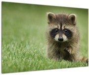 Tablou cu chiuvetă (90x60 cm)