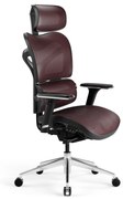 Scaun ergonomic Diablo V-Commander: Negru-Burgundy