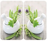 Plăci de protecție din sticlă HERB GARDEN pentru aragaz – 2 bucăți, WENKO