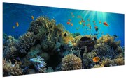 Tablou cu lumea submarină (120x50 cm), în 40 de alte dimensiuni noi