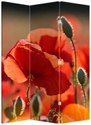 Paravan - Flori de maci (126x170 cm)