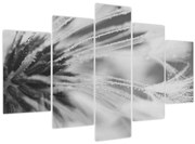 Tablou - Păpădie (150x105 cm)