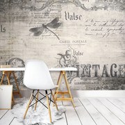 Fototapet - Vintage (254x184 cm)
