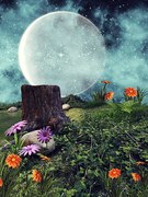 Ilustrație Night meadow with flowers, FairytaleDesign