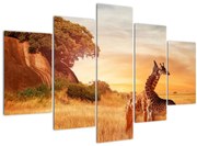 Tablou Girafe în Africa (150x105 cm)