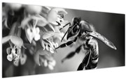 Tablou - Detaliu de albină (120x50 cm)