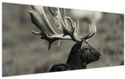 Tablou - Cerb (120x50 cm)
