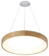 Azzardo AZ3344 - Candelabru LED pe cablu SILVAM LED/30W/230V