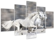 Tablou - Cai albi în timpul iernii (150x105 cm)