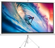 HOMCOM Ecran de Proiectie 84 Inci cu Suport, Portabil | Aosom Romania