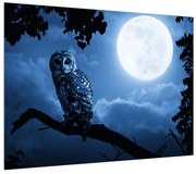 Tablou cu bufnița nocturnă (70x50 cm), în 40 de alte dimensiuni noi