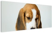 Tablou cu bigl (120x50 cm)