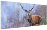 Tablou - Cerb în peisaj (120x50 cm)