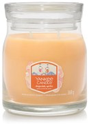 Yankee Candle lumânare parfumată Signature în pahar mediu Slopeside Spritz, 368 g, S