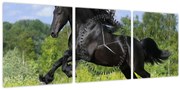Tablou - Cal cu o coamă curgătoare (cu ceas) (90x30 cm)