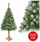 Pom de Crăciun pe trunchi 220 cm pin