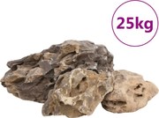 vidaXL Pietre dragon, 25 kg, gri, 10-40 cm