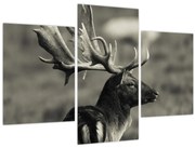 Tablou - Cerb (90x60 cm)