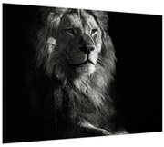 Tablou - Leu (70x50 cm)
