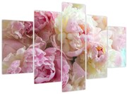 Tablou - Bujori (150x105 cm)