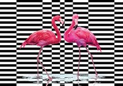 Fototapet - Flamingo 3D (254x184 cm), în 8 de alte dimensiuni noi