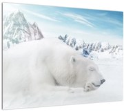 Tablou pe sticlă - Urs polar (70x50 cm)