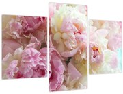 Tablou - Bujori (90x60 cm)