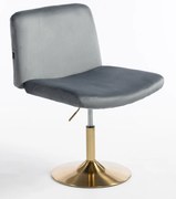 HR150N Scaun Grafit din Catifea cu Bază Aurie
